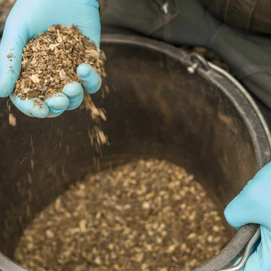 Azaleen düngen – organischer Dünger für japanische Azaleen