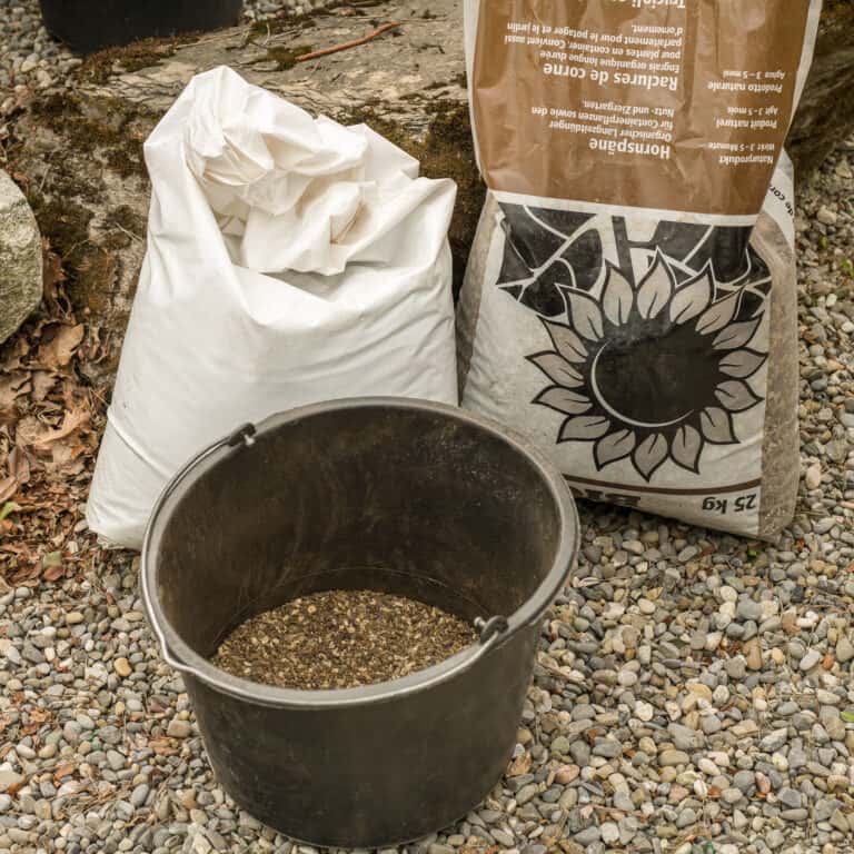 Düngematerial für japanische Azaleen – Pflege und Ernährung für eine gesunde Buchs-Alternative.