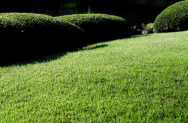 In Tamamono-Form geschnittene Azaleen im Rikugi-en-Garten, Tokio, Japan