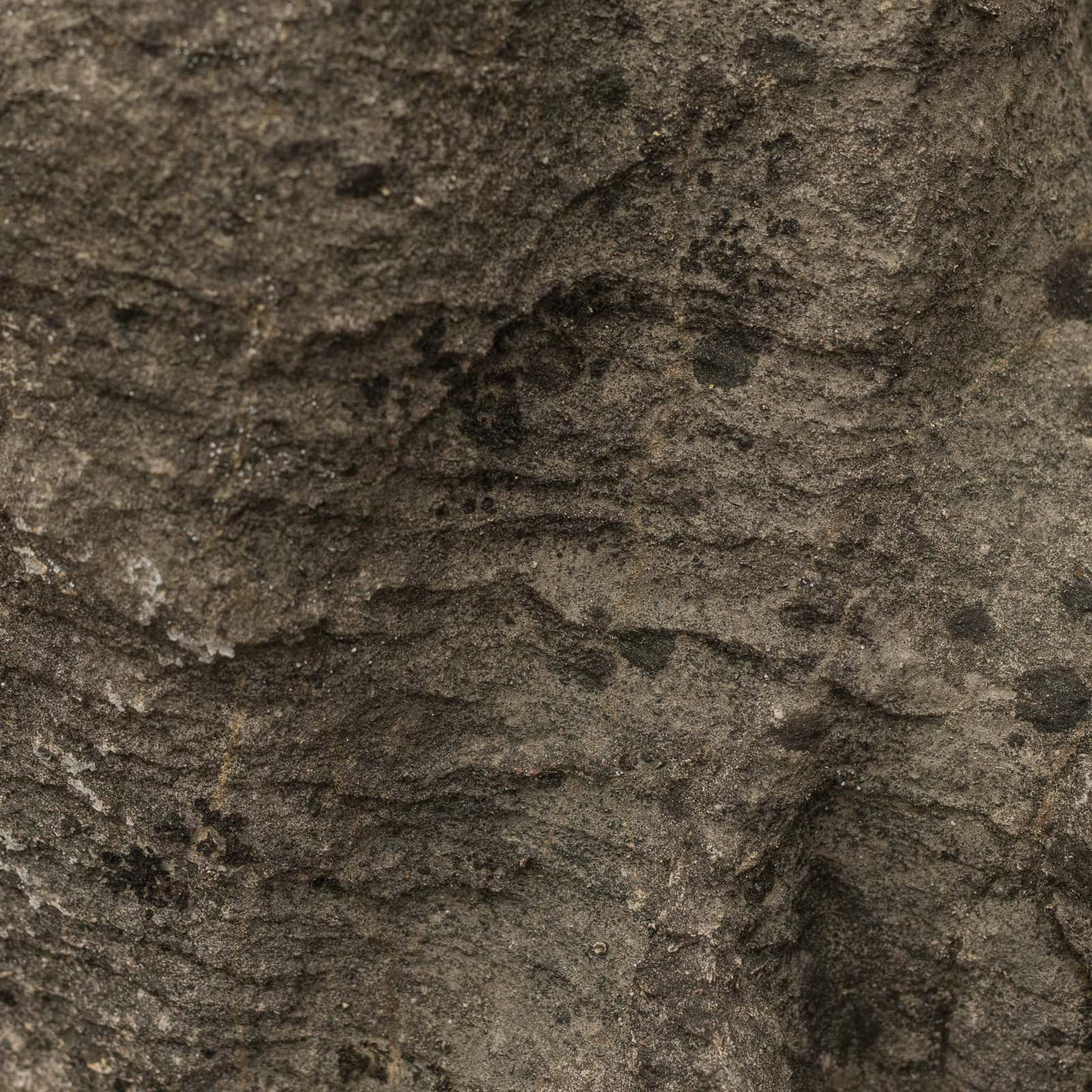 Kalkstein «Zerklüftete Gebirgslandschaft» als Solitär im japanischen Garten – Gartenstein aus der Zentralschweiz